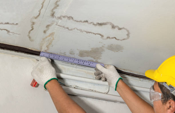 Reliable Burst Pipe Cleanup contractor in Sterling Heights, MI by Water Damage Irwin